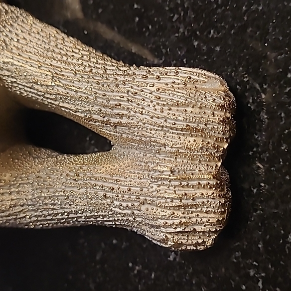 🐆Sagebrook Laying Leopard - Picture 4 of 9